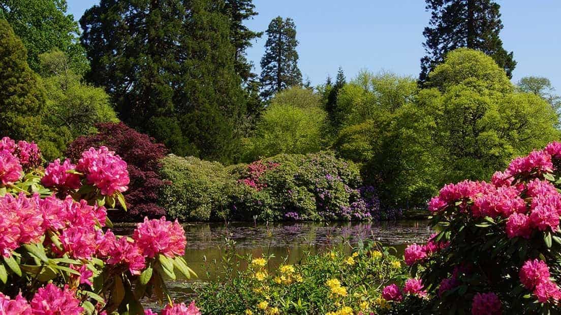 Sheffield Park Gardens